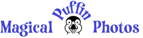 Magical Puffins